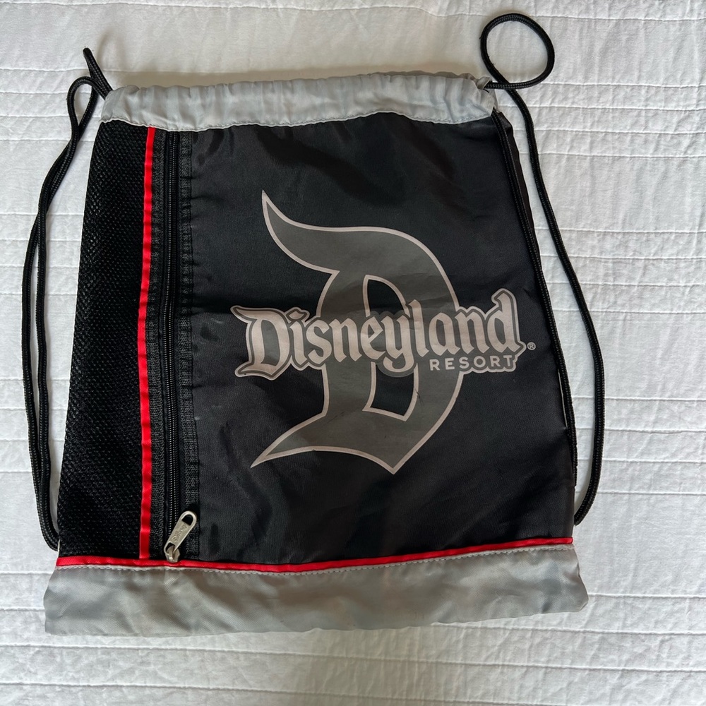 Disneyland backpack